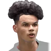 Nico O'Reilly