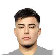 Aaron Anselmino