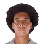 Axel Witsel